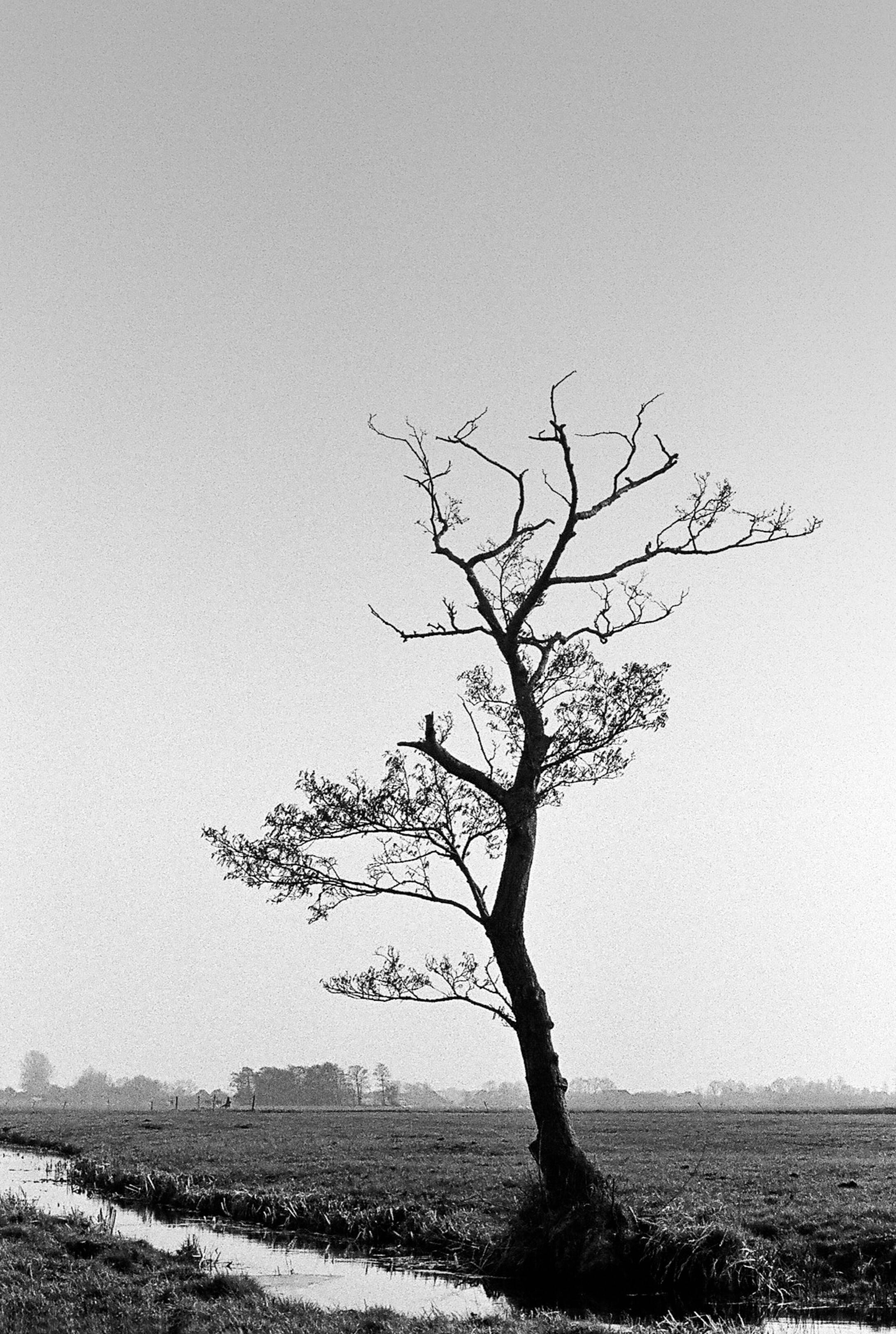 Jurjen Poeles Fotografie Jur zwart/wit zwart wit het lage land 't lage land wiede weide Giethoorn kunst kunstfotografie